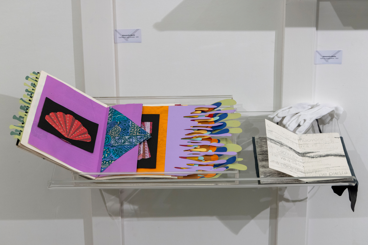 Expo-Camera-Book-2-Ehxibition-Show-2023-14
