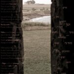 L’INNOCENZA DEL PAESAGGIO – 2010